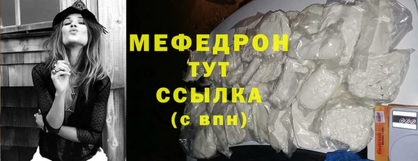 шишки Верея