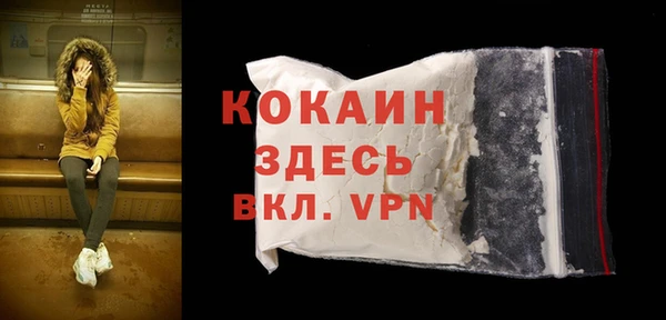 шишки Верея