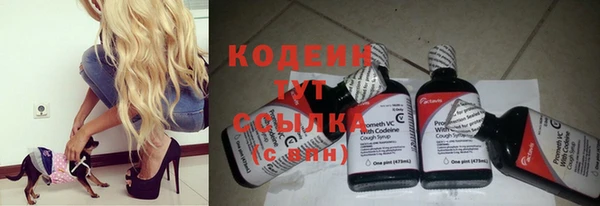 шишки Верея