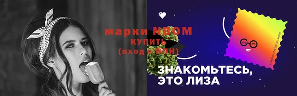 шишки Верея