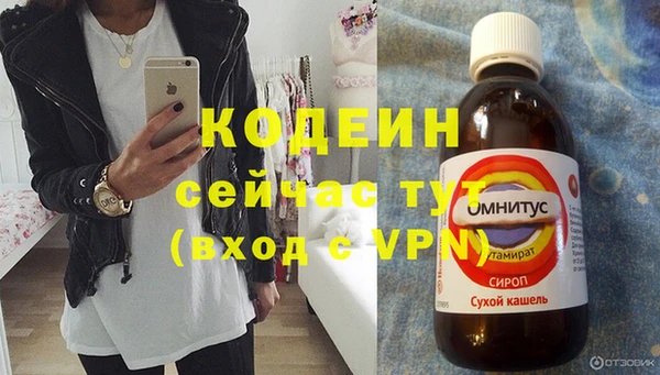 шишки Верея