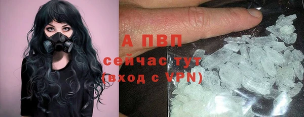 шишки Верея