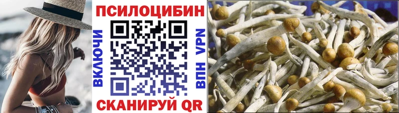 цена   darknet формула  Галлюциногенные грибы прущие грибы  Вилюйск 